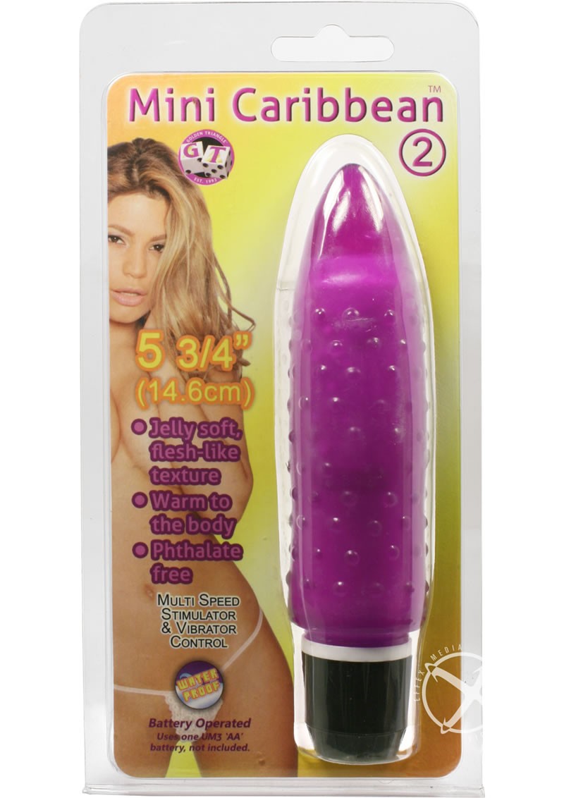 Mini Caribbean Number 2 Vibrator Waterproof 5.75 Inch Purple