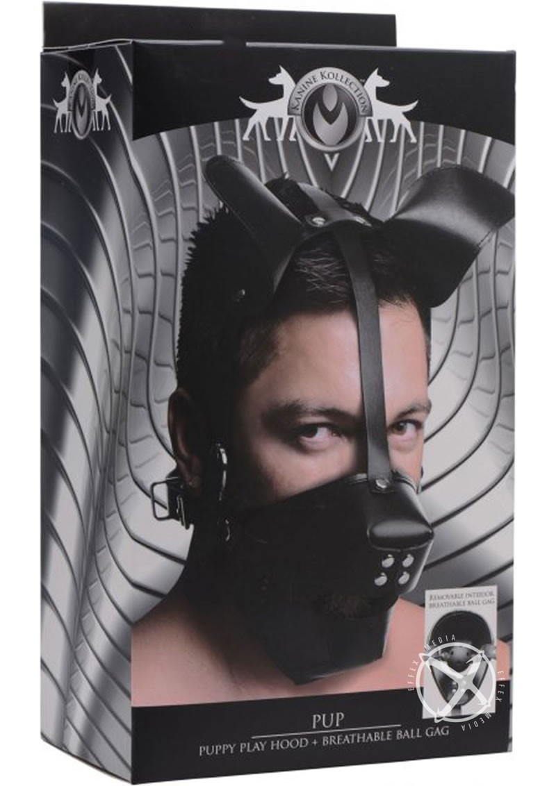 Puppy Play Hood And Breathable Ball Gag