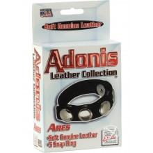 Ares - Adonis Leather Collection
