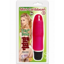 Mini Caribbean #3