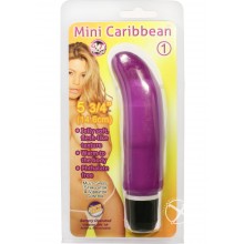Mini Caribbean # 1 Purple