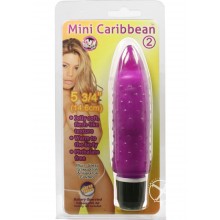 Mini Caribbean # 2 Purple