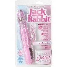Petite Thrusting Jack Rabbit Pink