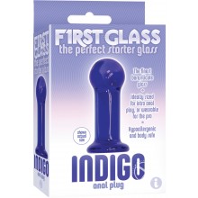 The 9 First Glass Indigo Anal Plug