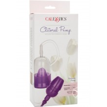 Clitoral Pump Intimate Pump Purple