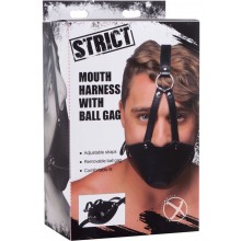Strict Mouuth Harness W/ball Gag