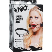 Strict Spider Mouth Gag