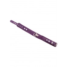 Rouge Plain Collar Purple