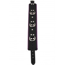 Rouge Padded Collar Black/purple