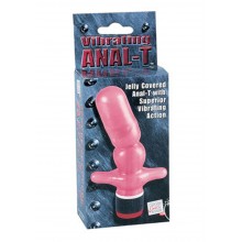 Vibrating Anal T