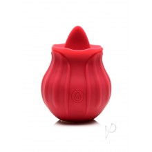 Inmi Bloomgasm Wild Violet Red