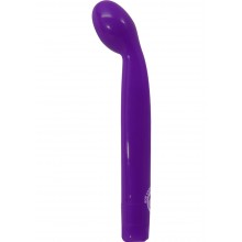 Blush Novelties Sexy Things G Slim G Spot Vibrator Purple Hush USA