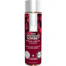 System Jo H2O Flavored Water Based Lubricant Raspberry Sorbet 4 Ounce Hush USA
