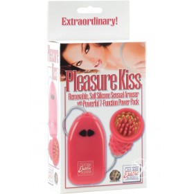 Pleasure Kiss Soft Sensual Arouser 2.75 inch Pink