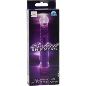 Lighted Shimmers L E D Glider Waterproof 6.5 Inch Purple