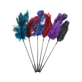 Fantasy Tickler Ostrich Feather Tickler Combo Assorted Colors