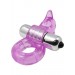 Purrfect Pets - Dolphin Purple