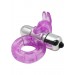 Purrfect Pets - Bunny Purple