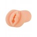 Virgin Stroker - Shane`s World