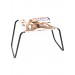 Ff Sex Stool