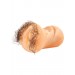 Hairy Kim Flesh