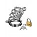 Asylum 4 Ring Locking Chastity Cage