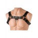 English Bull Dog Harness