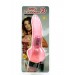 W/p Jelly Caribbean #2