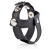 CalExotics Colt Leather H-Piece Divider Cock and Ball Strap Hush USA