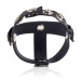 CalExotics Colt Leather H-Piece Divider Cock and Ball Strap Hush USA