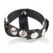 CalExotics Colt Leather H-Piece Divider Cock and Ball Strap Hush USA
