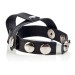 CalExotics Colt Leather H-Piece Divider Cock and Ball Strap Hush USA