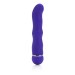 CalExotics Posh 10 Function Teaser 4 Silicone Vibrator Waterproof Purple Hush USA